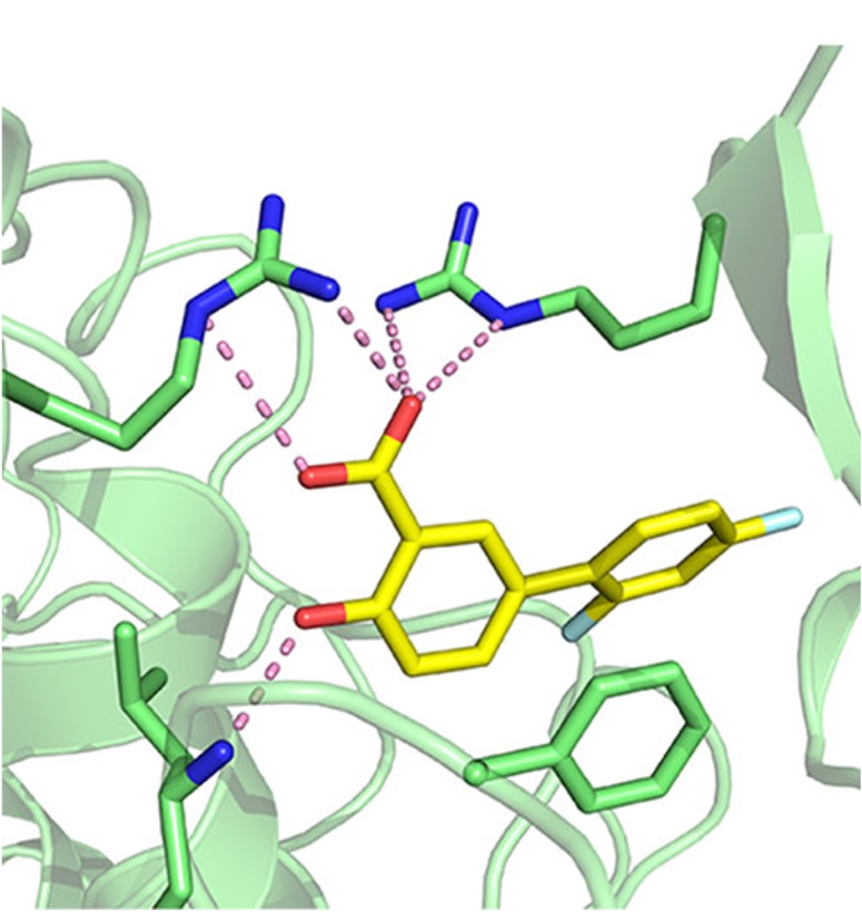 ACMSD bound to diflunisal