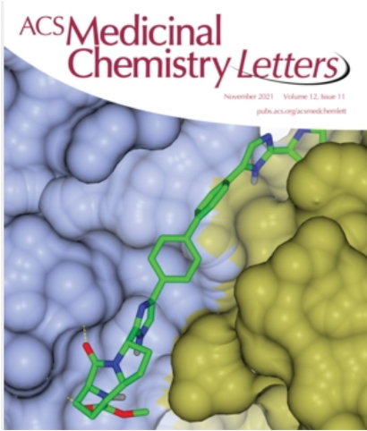 NS5A bound to an inhibitor